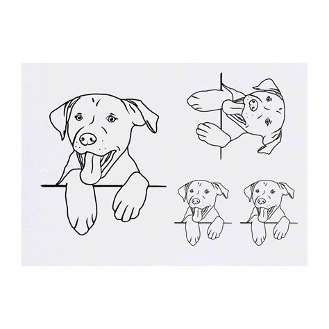 You just need to pick one sheet you like and stick it on. 'Peeping Dog' Temporary Tattoos (TO025495) | eBay