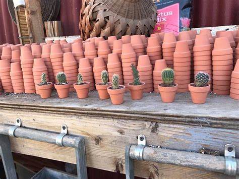 ••• what you get •••. You Can Still "Dig Your Own" at Cactus Mart in Morongo ...