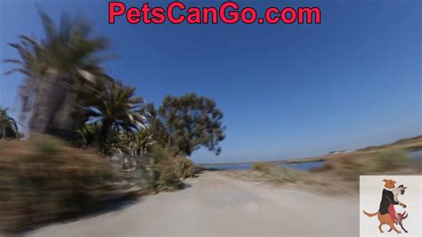 Palo alto baylands nature preserve. BAYLANDS NATURE PRESERVE PALO ALTO CA duck pond video ...