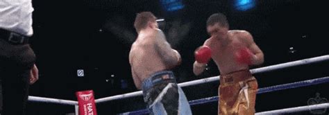 Log in to save gifs you like, get a customized gif feed, or follow interesting gif creators. Vyacheslav Senchenko Boxing GIF - Find & Share on GIPHY