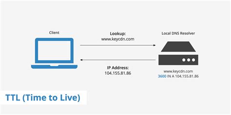 The meaning of ttm is: An Easy Primer on TTL (Time to Live) - KeyCDN Support