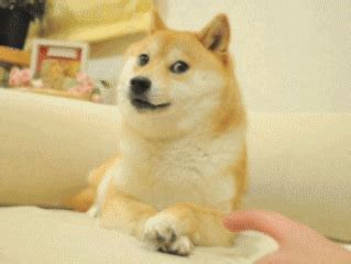 Amazing features to earn free doge. Doge Gif