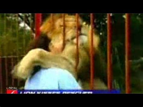 Cat haven fresno search in title. Lion Attacks Kills Woman To Death at the Cat Haven in ...