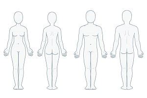 The anatomy of a woman's reproductive system is designed to provide nourishment for the fetus in the womb. Male Anatomy Diagram Blank / Male And Female Reproductive ...