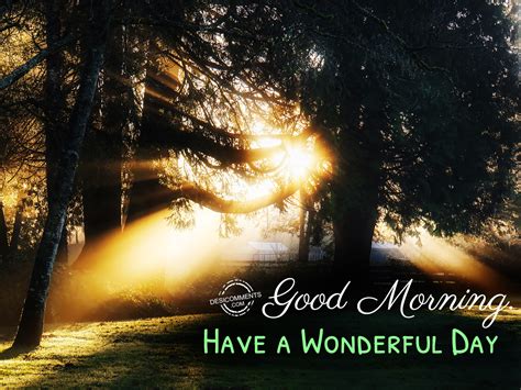 Good Morning- Have A Wonderful Day - DesiComments.com