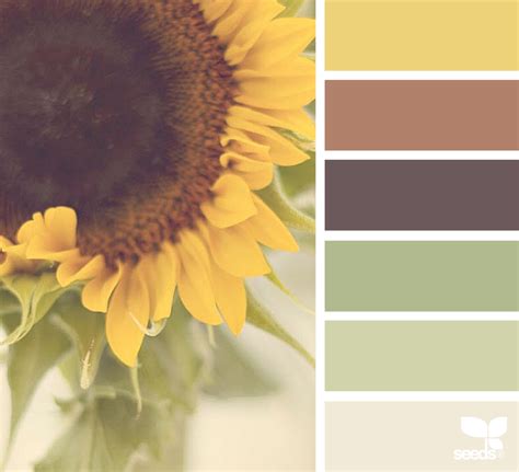 A website color scheme consists of color palettes that will be used everywhere in your website, including visual assets. Color Nature in 2020 (With images) | Brown color palette ...