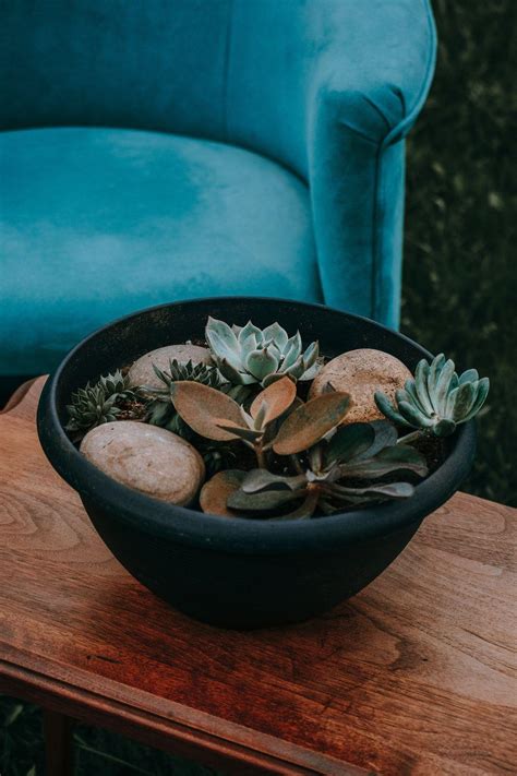 Sounds perfect wahhhh, i don't wanna. Green Aesthetics Wallpapers - Wallpaper Cave