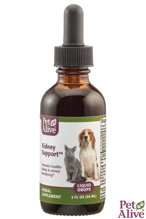 We did not find results for: Kidney Support Supplements For Cats - kidneyoi