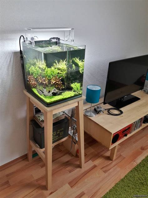 Obviously, this is catering for the more entry level and lifestyle aquarist rather. 21 Best Aquascaping Design Ideas to Decor Your Aquarium ...
