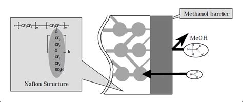 A few points have to be borne in mind. Nafion Based Polymer Electrolyte Membranes For Improved ...