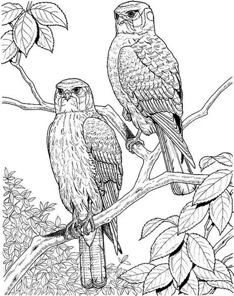Coloring books for boys and girls of all ages. Hard Coloring Pages for Adults - Best Coloring Pages For Kids