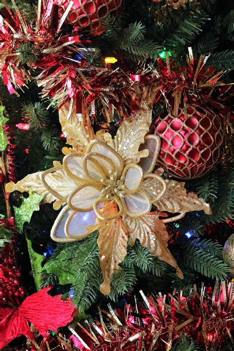 If your driver's license doesn't have a gold star on it, you may not be able to use it to get past the tsa checkpoints to fly commercially in 2020. Gold Poinsettia And Red Tinsel Free Stock Photo - Public Domain Pictures