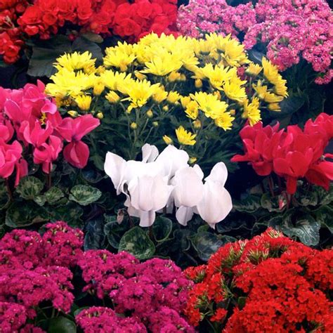 No matter the season, tableclothsfactory offers a wide selection of faux flowers in bulk that will. Fire Retardant Artificial Flowers Wholesale | Artificial ...