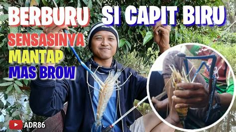 Tidak hanya sebagai bahan konsumsi saja berbeda dengan cara merawat bunga agar subur dan merekah, jika anda ingin maka anda bisa menjualnya. Mancing Udang Galah - YouTube