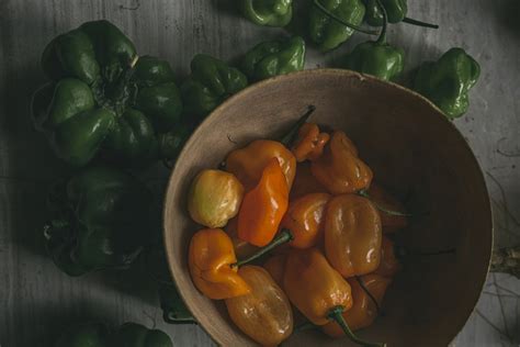 Book hotel chile habanero, havana on tripadvisor: Chile Habanero