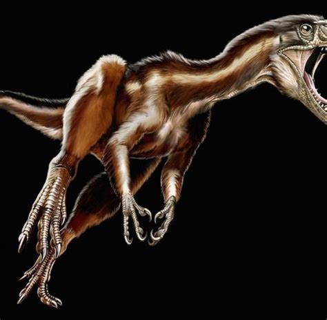 Jahrestag des unfalls von tschernobyl. Tiere: Zweiköpfige Schlange streitet sich mit sich selbst ...