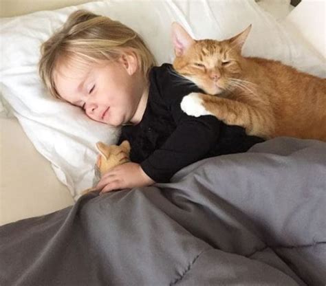 Loss of appetite can be normal for cats but it still should not be ignored. 4-Year-Old Little Girl Sings 'You Are My Sunshine' To Her ...
