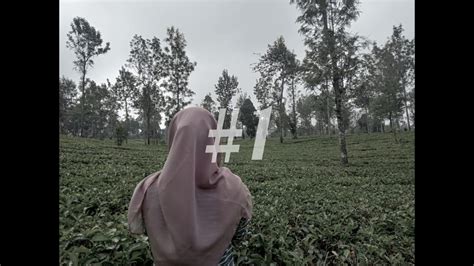 Video blur dengan suara alur film youtube mantap. Kebun teh, Wonosobo. - YouTube