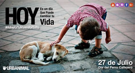 20 de julio del 2019. 27 de Julio "Día Internacional del Perro Callejero ...