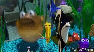 Maybe you would like to learn more about one of these? finding nemo - the tank is clean on Make a GIF
