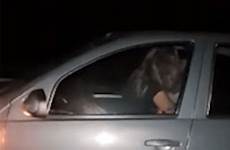 car sex man having woman 70mph motorway filmed going jujuy travelling said