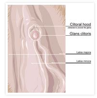 Include manipulations on the hood of the clitoris, aimed at reducing, as well as partial or complete removal of the skin pocket above it, and excision of the skin. Clitoral Stimulation Basics