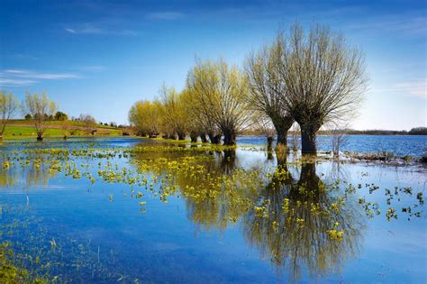 Huis hongarije holland holland zijn de nederlandse vestiging van de hongaarse magyar haz holland en wij zijn een specialist in onroerend goed in. Natuur