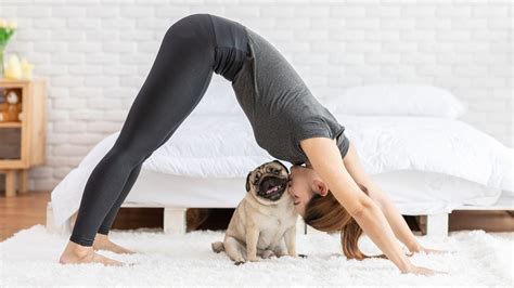 Wir sammeln bis zu 356 anzeigen von hunderten kleinanzeigen portalen für dich! Ein Leitfaden für Fitness zu Hause mit Hund | The Dog ...