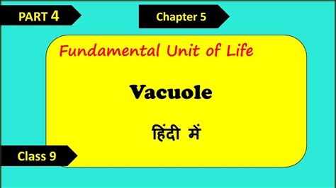 Maybe you would like to learn more about one of these? Vacuole Cell Organelle In Hindi | The Fundamental Unit Of ...