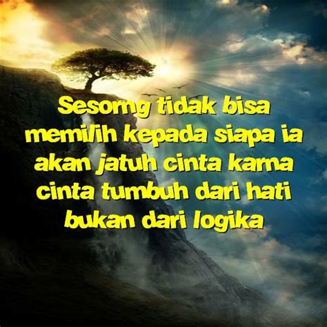 Buat kamu yang sedang berjuangjangan pernah menyerah sebelum hasil akhir ditentukanpenentunya adalah diri kita sendiridengan bersikap pesimis, harapan kian. kata kata bijak tentang kehidupan islami | Kata Kata Indah