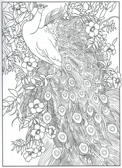 You can print all of our peacock coloring pages for free. Pin op Advanced Coloring Pages