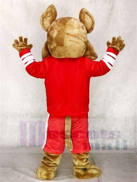 Ideally, every year is the right year for a team to make a magical run and end its season with confetti falling from the rafters. Arizona Coyotes Howler the Coyote Mascot Costume Wolf