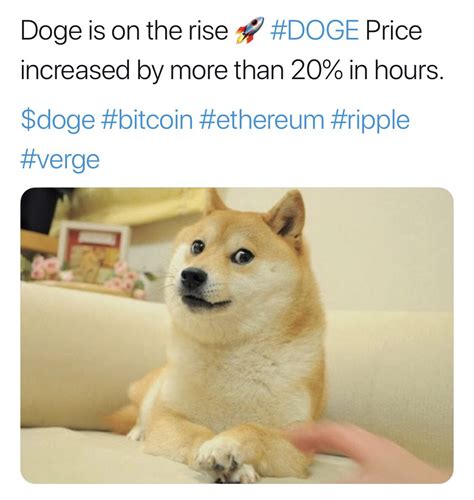 What is dogecoin?dc1dogecoin usagedc2should you invest in dogecoin?dc3how to buy & sell dogecoindc4payment methoddc5faqdc6. Buy Dogecoin in Egypt