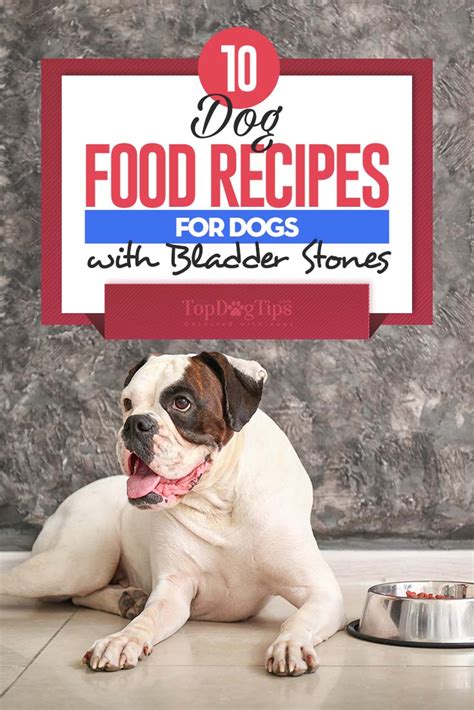 What foods cause bladder stones in dogs? 10 Homemade Dog Food for Bladder Stones Recipes