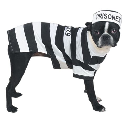 Giving new meaning to the phrase, 'working like a dog,' this costume cleverly to make this dragon costume for your dog, you'll need the tools and materials we listed below. Prison Costumes For Dogs Dress Your Pup Like a Prisoner in ...