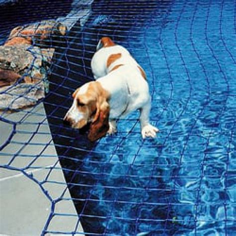 By building and curating simplified benefits services, catch can offer a safety net for the future of work. Pool Safety Net Specialists Swimming Pool Nets, Outdoors ...