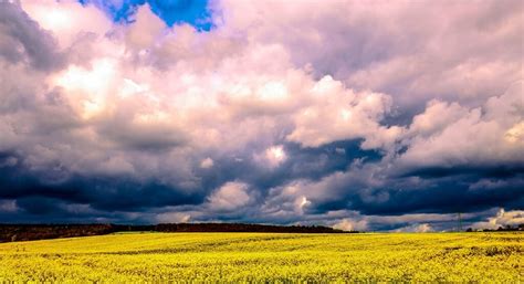 Sturm klaus bringt starke böen mit sich, der wetterdienst hat eine unwetterwarnung herausgegeben. Aktuell - Unwetterwarnung - Schwere Gewitter ab heute ...