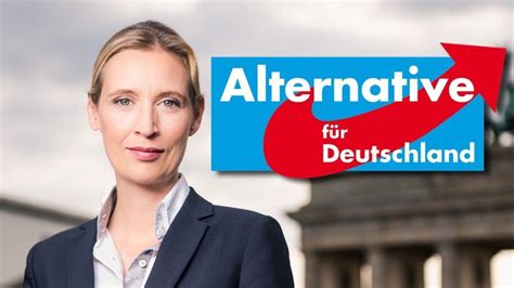 Tino chrupalla und alice weidel werden als spitzenduo für die afd bei der bundestagswahl im september antreten. Alice Weidel (AFD) accuse le gouvernement de Merkel de ...