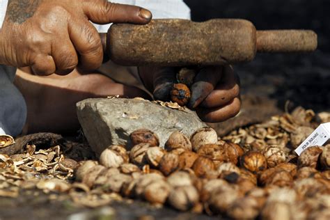 Последние твиты от shell (@shell). Walnut shells work wonders in beauty products