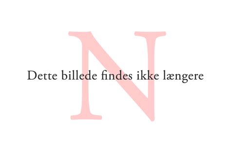 Rend mig i fordommene, sagde morten messerschmidt til bt i 2009 om det umage forhold. Morten Messerschmidt og Dot Wessman | NetAvisen