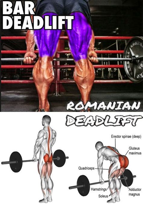 Although it has a great effect on your shoulders, traps, neck etc romanian deadlift acts as a reinforcement to balance the ratio between quadriceps and hip extractor muscle group. ROMANIAN DEADLIFT | Fitness body, Deadlift