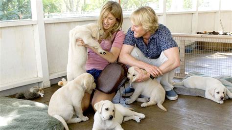 Only full films and complete tv series for. Watch Marley & Me | Prime Video