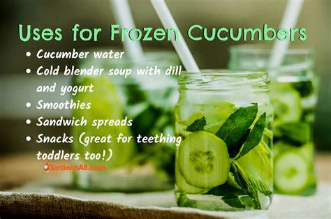 Here's how to prepare fresh cucumbers for freezing: Can You Freeze Cucumbers? | GardensAll