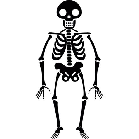Halloween skeleton decoration, 28 realistic full body halloween skeleton with movable/posable joints, plastic human bones body prop for halloween haunted house graveyard indoor/outdoor decor $15.99 $ 15. Halloween skelet Iconen | Gratis Download