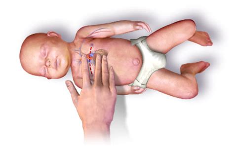 We did not find results for: infant cpr tips | American Health Care Academy