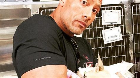 Dwayne Johnson's Warning to Pet Parents | Healthy Paws