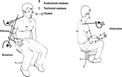 Example, raise arms above your head and clasp your hands together abduction brings the body part away from adduction brings the body part toward the midline of the body. Markers for upper limb movement: arm and forearm bear ...