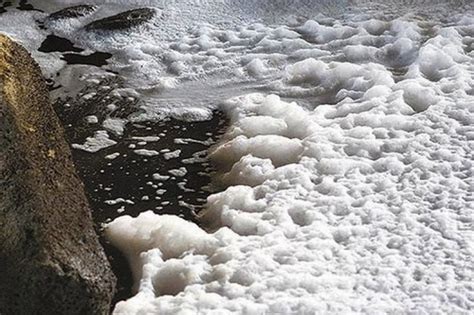 Read novel 武炼巅峰 written by 莫默, rating: 彰化再傳黑心業者排放有毒廢水-風傳媒