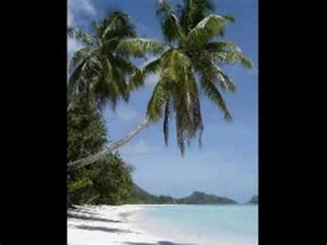 There is also a magnificient palm tree and you can find instructions on how to do this further down. Harry Belafonte Island In The Sun - YouTube