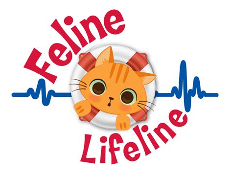 We as a rescue love our work and place all efforts into providing a new. Pets for Adoption at Feline Lifeline for South Carolina ...